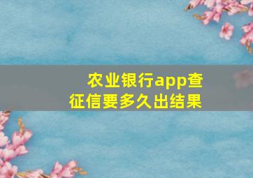 农业银行app查征信要多久出结果