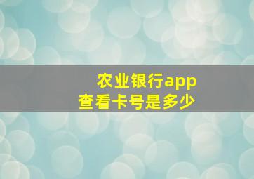 农业银行app查看卡号是多少