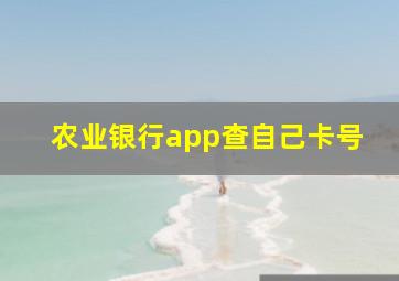 农业银行app查自己卡号