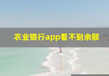 农业银行app看不到余额