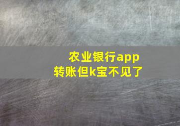 农业银行app转账但k宝不见了