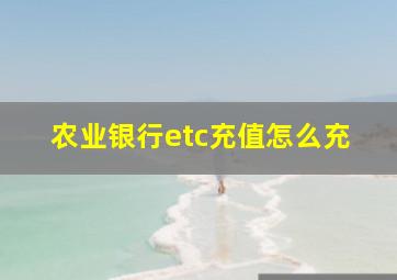 农业银行etc充值怎么充