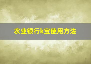 农业银行k宝使用方法