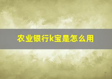 农业银行k宝是怎么用