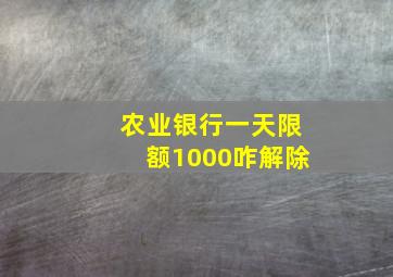 农业银行一天限额1000咋解除