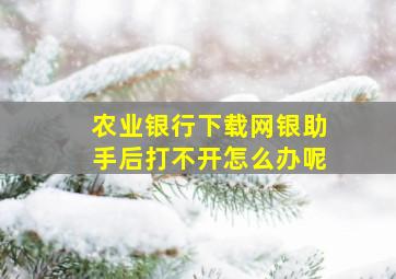 农业银行下载网银助手后打不开怎么办呢