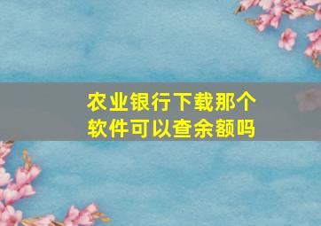 农业银行下载那个软件可以查余额吗