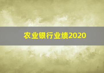 农业银行业绩2020