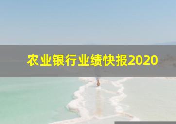 农业银行业绩快报2020