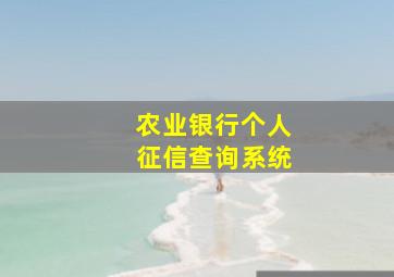 农业银行个人征信查询系统