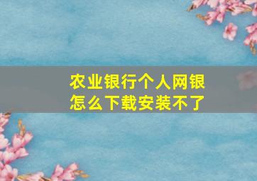 农业银行个人网银怎么下载安装不了