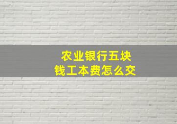 农业银行五块钱工本费怎么交