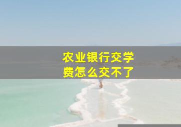 农业银行交学费怎么交不了