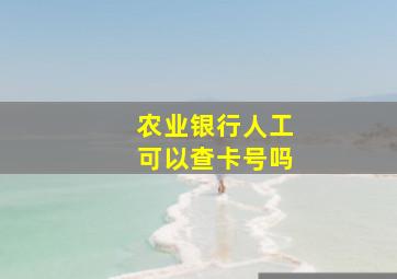 农业银行人工可以查卡号吗