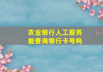 农业银行人工服务能查询银行卡号吗