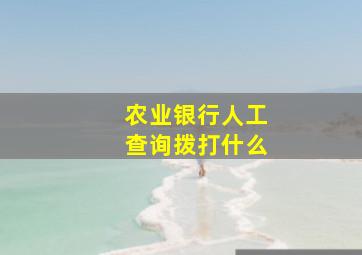 农业银行人工查询拨打什么