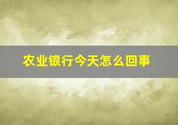 农业银行今天怎么回事