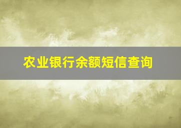 农业银行余额短信查询