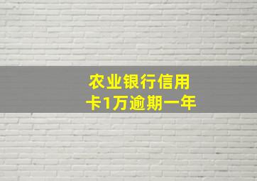 农业银行信用卡1万逾期一年