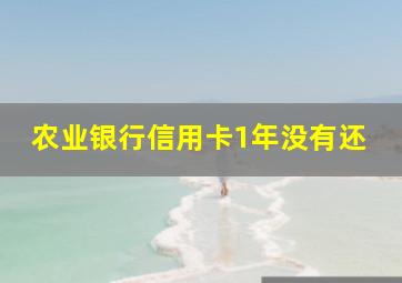 农业银行信用卡1年没有还