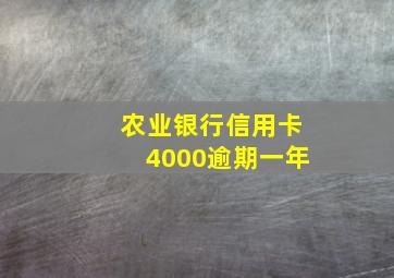 农业银行信用卡4000逾期一年