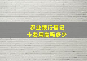 农业银行借记卡费用高吗多少