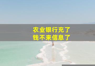 农业银行充了钱不来信息了