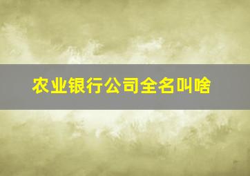 农业银行公司全名叫啥