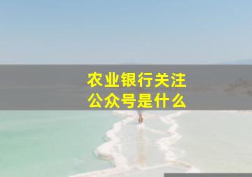 农业银行关注公众号是什么