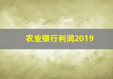 农业银行利润2019