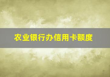 农业银行办信用卡额度