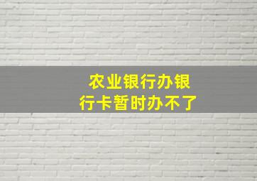 农业银行办银行卡暂时办不了