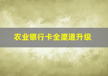 农业银行卡全渠道升级