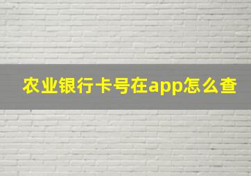 农业银行卡号在app怎么查