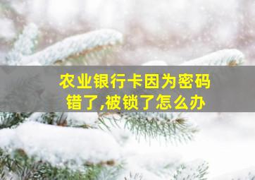 农业银行卡因为密码错了,被锁了怎么办