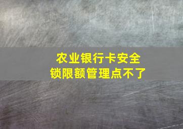 农业银行卡安全锁限额管理点不了