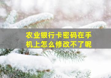 农业银行卡密码在手机上怎么修改不了呢