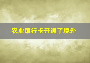 农业银行卡开通了境外