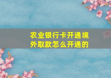 农业银行卡开通境外取款怎么开通的