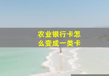 农业银行卡怎么变成一类卡