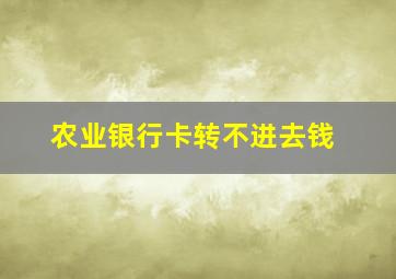 农业银行卡转不进去钱