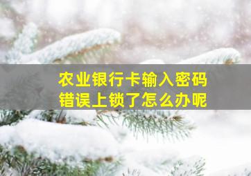 农业银行卡输入密码错误上锁了怎么办呢