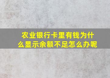 农业银行卡里有钱为什么显示余额不足怎么办呢