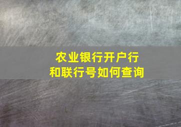 农业银行开户行和联行号如何查询