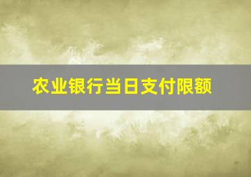 农业银行当日支付限额