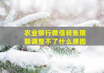 农业银行微信转账限额调整不了什么原因