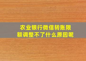 农业银行微信转账限额调整不了什么原因呢