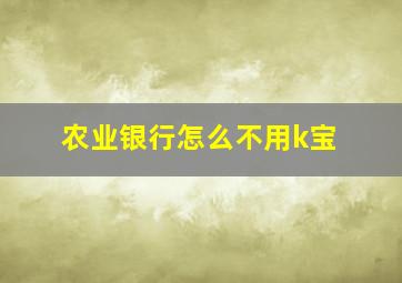 农业银行怎么不用k宝