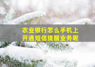 农业银行怎么手机上开通短信提醒业务呢