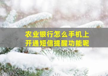 农业银行怎么手机上开通短信提醒功能呢